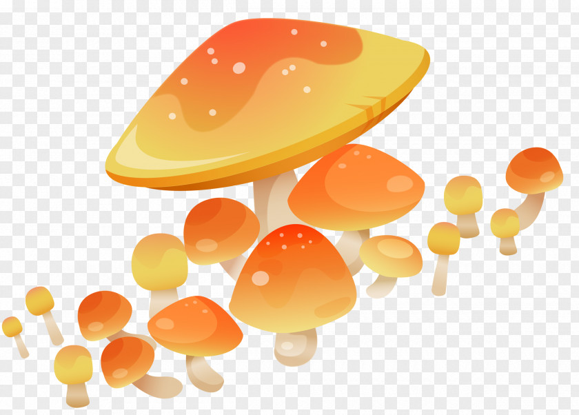 Melon Mushroom Fungus Clip Art PNG