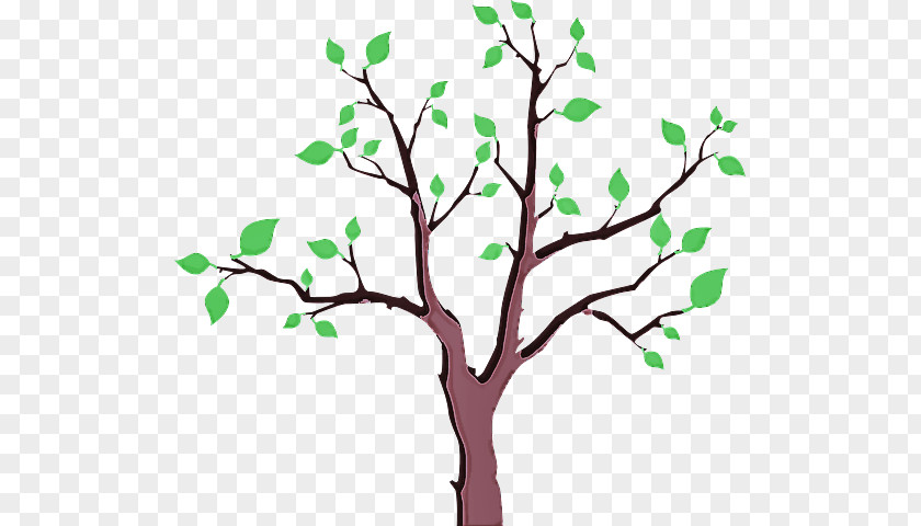Plant Stem Flower Tree Branch Green Leaf PNG