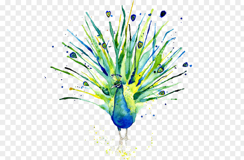Watercolor Peacock Peafowl Logo Of NBC Painting PNG
