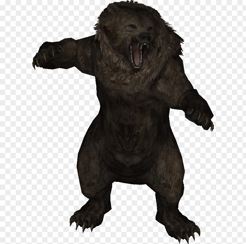 Bear The Elder Scrolls V: Skyrim Oblivion III: Morrowind PNG