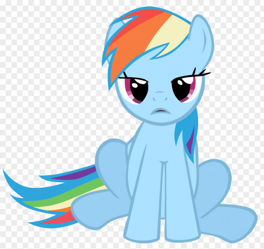 Rainbow Pony Dash Pinkie Pie Applejack Fluttershy PNG