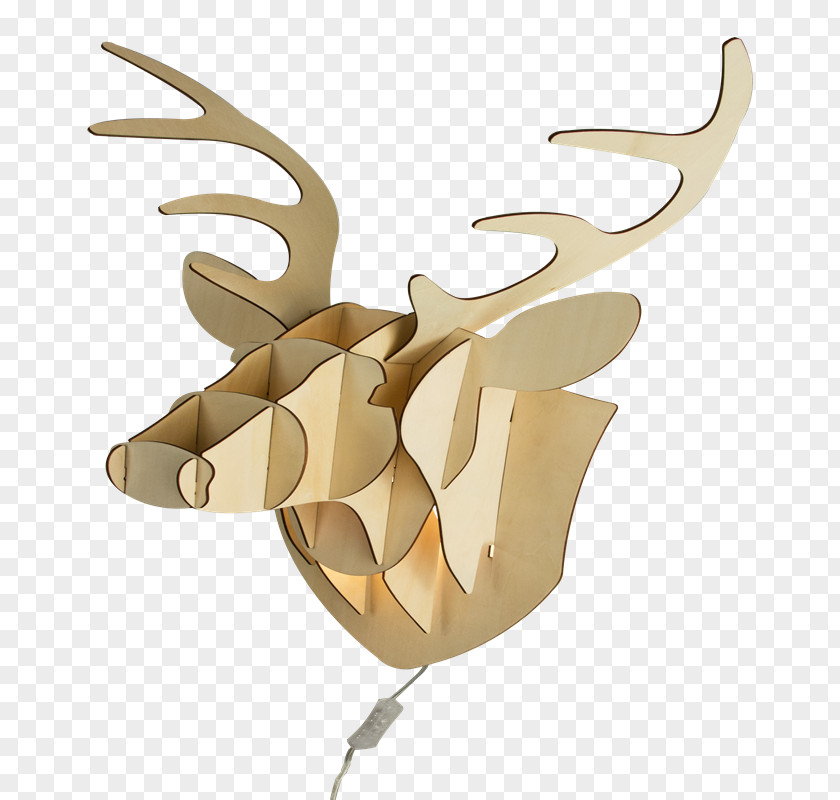 Reindeer Antler Product Design PNG