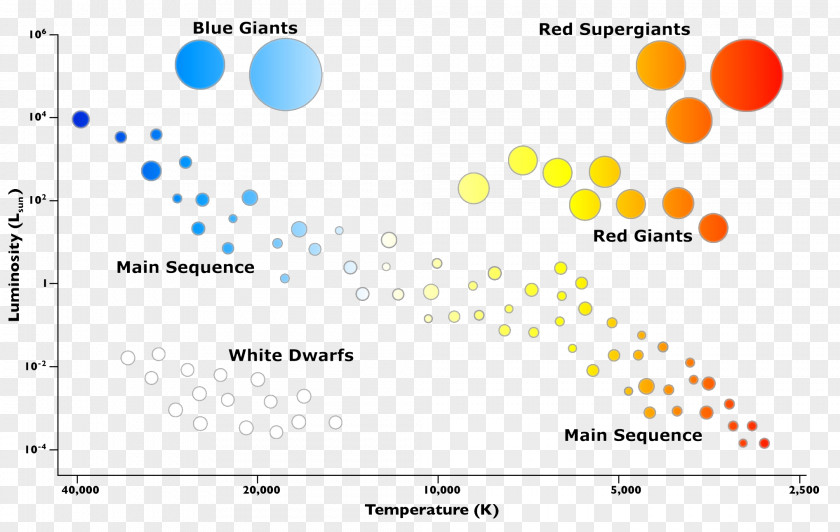 Teacher Hertzsprung–Russell Diagram Worksheet Graph Of A Function PNG