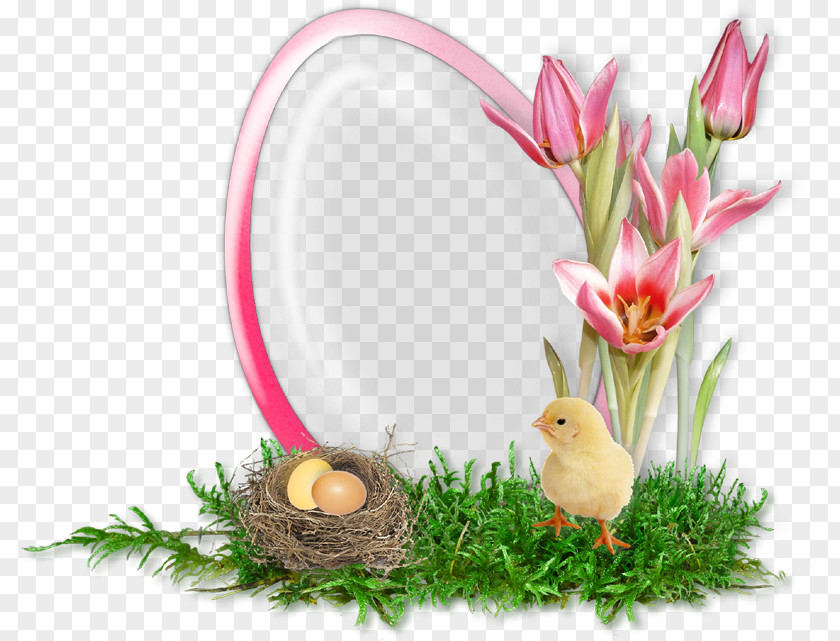 Easter Border Egg Picture Frames Christmas PNG
