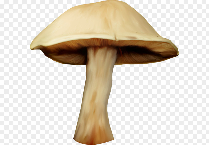 Hand-painted Mushrooms Mushroom Watercolor Painting Fungus PNG