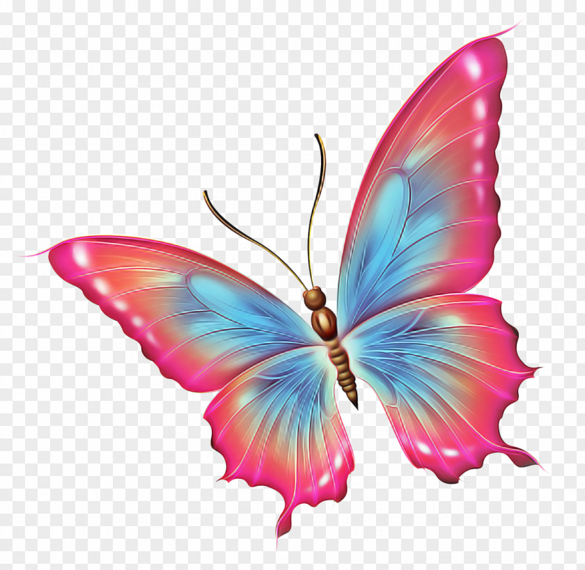 Lycaenid Pollinator Butterfly Insect Moths And Butterflies Pink Wing PNG