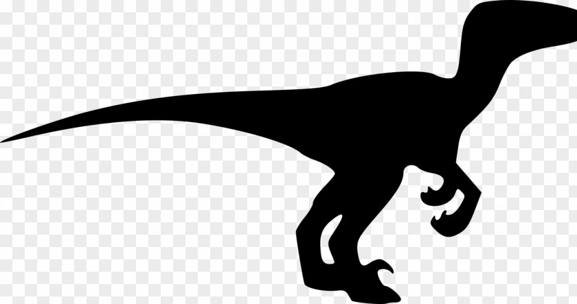 Blackandwhite Claw Jurassic World PNG
