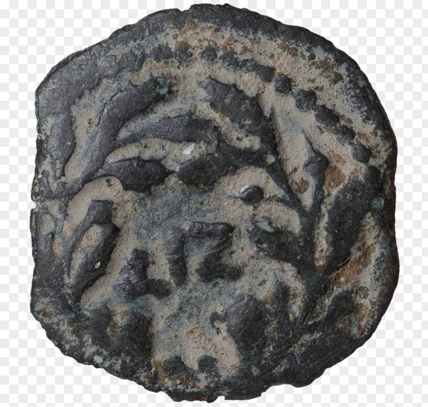 Coin Israel Museum Lituus Praefectus Prutah PNG