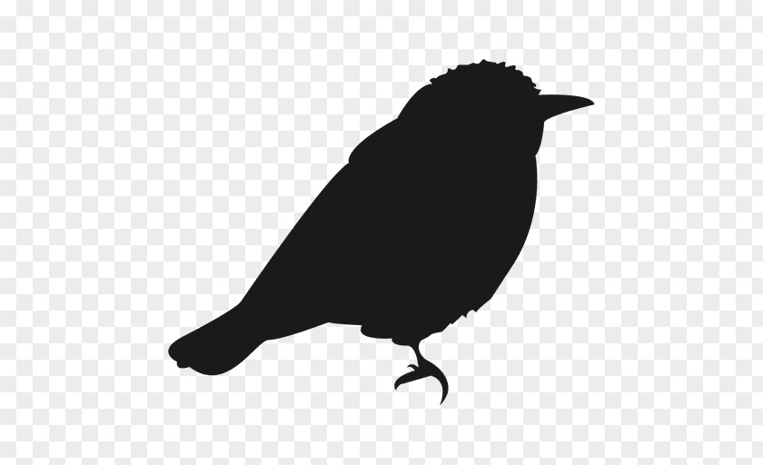 Crow Material Bird Silhouette Vector Graphics Euclidean Passerine PNG