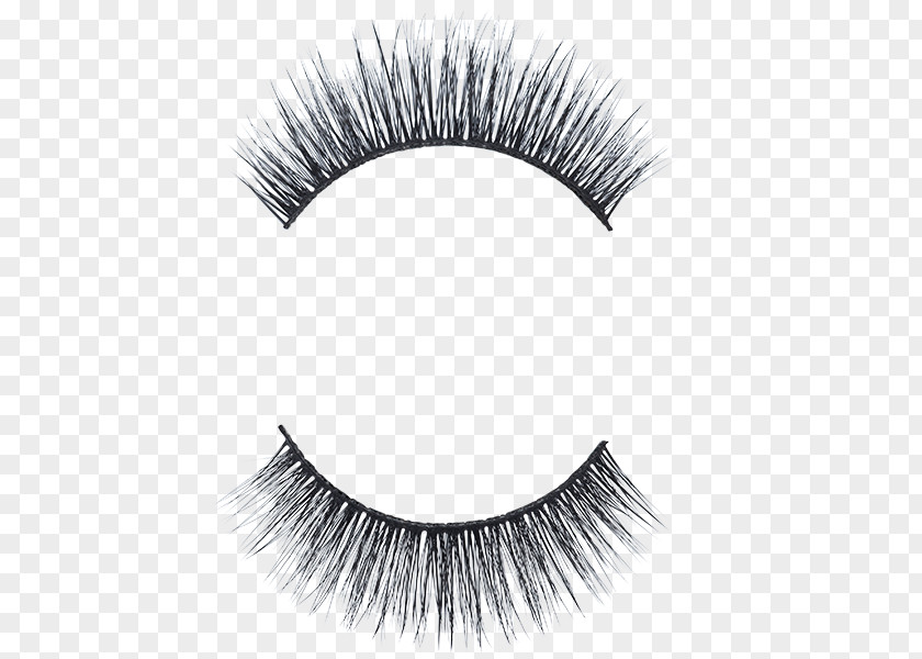 Eyelash Extention Anatomy Informationsvortrag Mammoth Luxury Outlets Human Body PNG