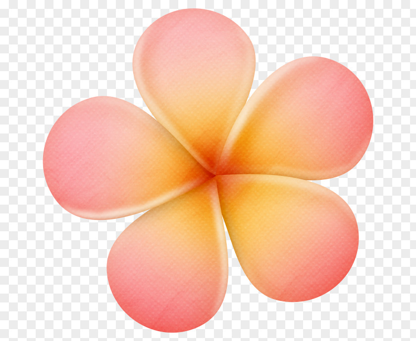 Flor Orange Flower Frangipani Purple Blue PNG