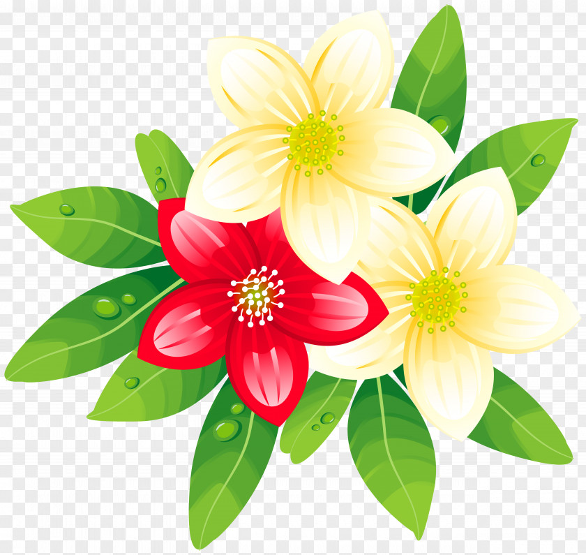 Frangipani New Year's Day Wish Greeting & Note Cards Happiness PNG