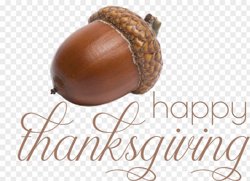 Happy Thanksgiving Day PNG