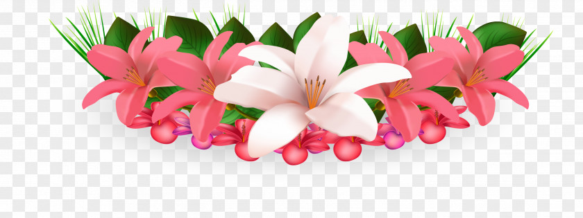 Lily Flower Hawaiian Hibiscus Clip Art PNG