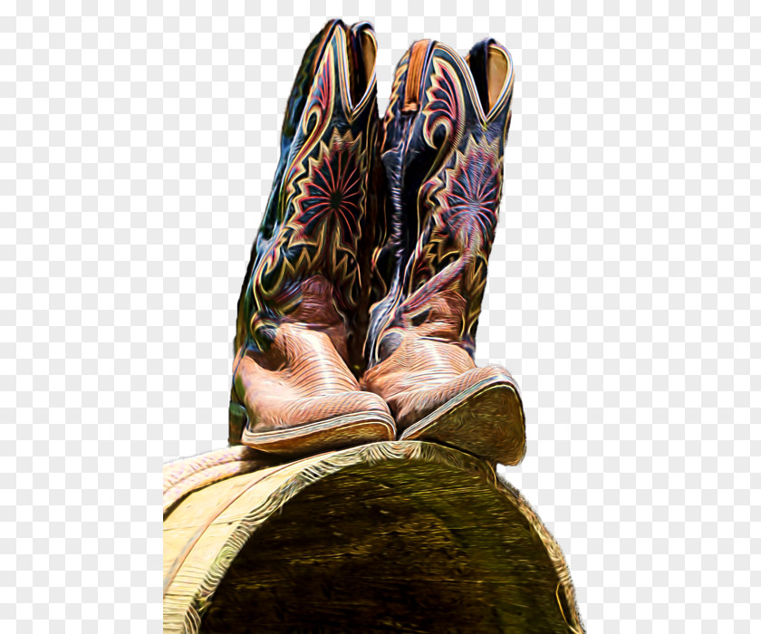 Pamela Boot Shoe PNG