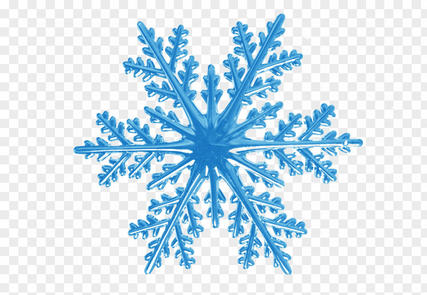 Snowflakes Rotational Symmetry Nature Translational PNG