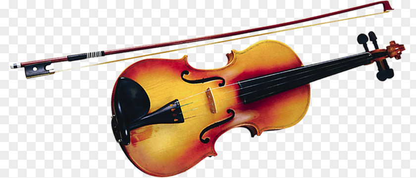 A Violin Bass Violone Viola Cello PNG