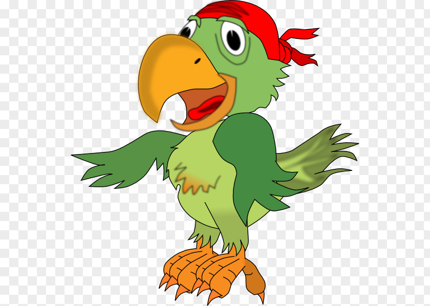 Parakeet Cliparts Pirate Parrot Piracy Free Content Clip Art PNG