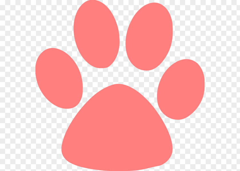 Puppy Dog Cat Kitten Paw PNG