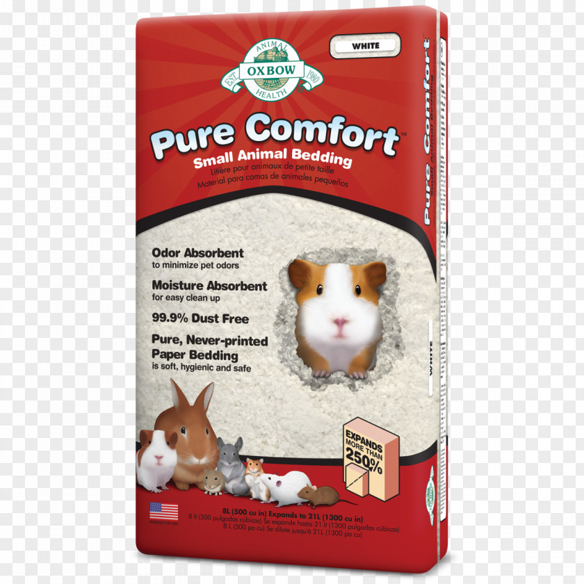 Cat Guinea Pig Bedding Pet Gerbil PNG