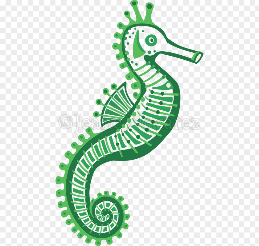 Coati Vector Seahorse Clip Art Illustration Graphics Royalty-free PNG
