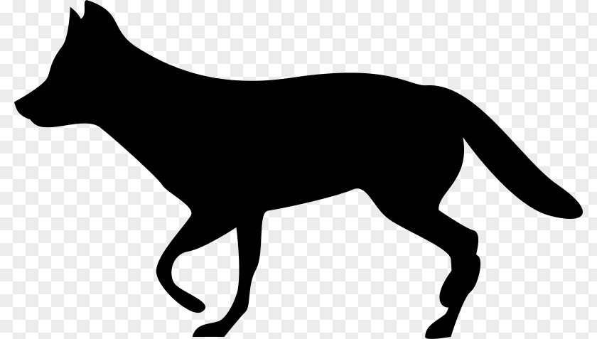 Dog Coyote Whiskers Clip Art PNG