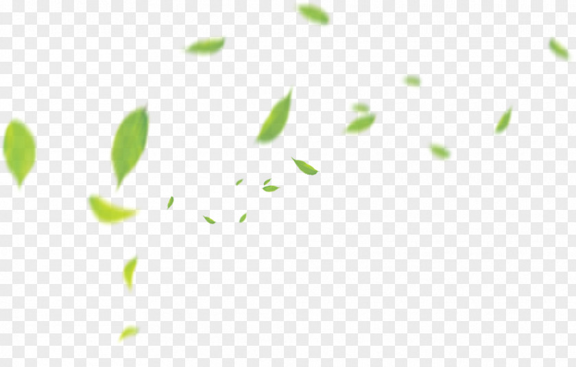 Floating Green Leaves Pattern PNG