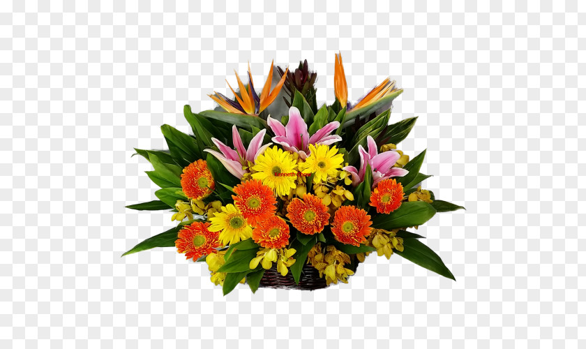 Get Well Soon Floral Design Cut Flowers Flower Bouquet Transvaal Daisy PNG