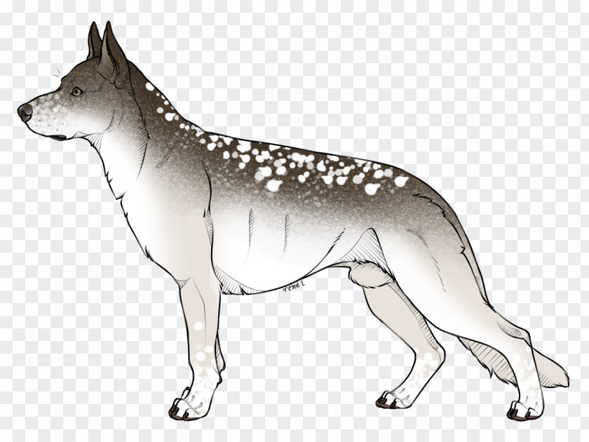 Lava Wolf Adoptable Czechoslovakian Wolfdog Saarloos Dog Breed Dingo /m/02csf PNG