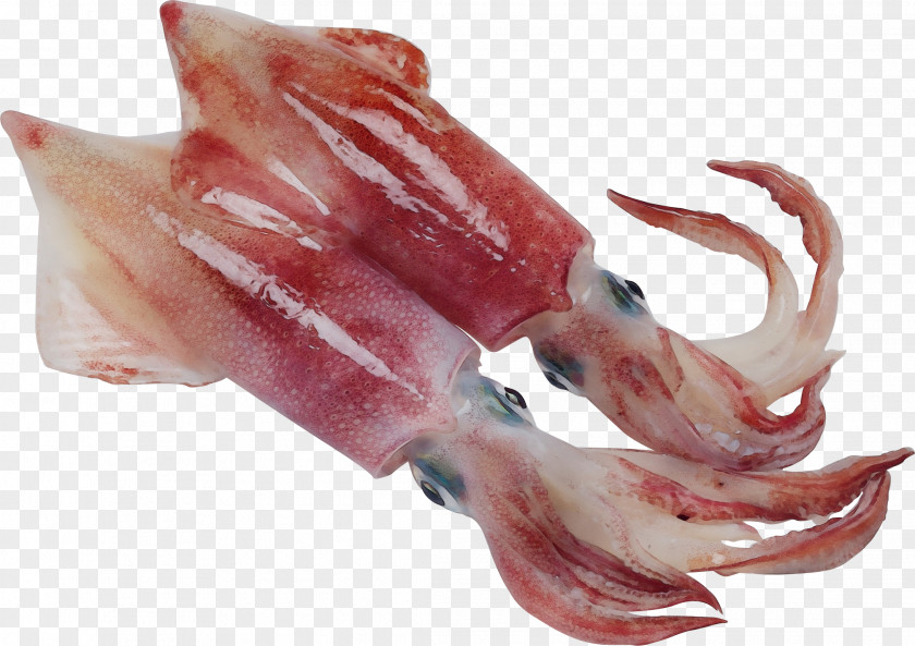 Meat Lamb And Mutton Squid Animal Fat Seafood Food Octopus PNG