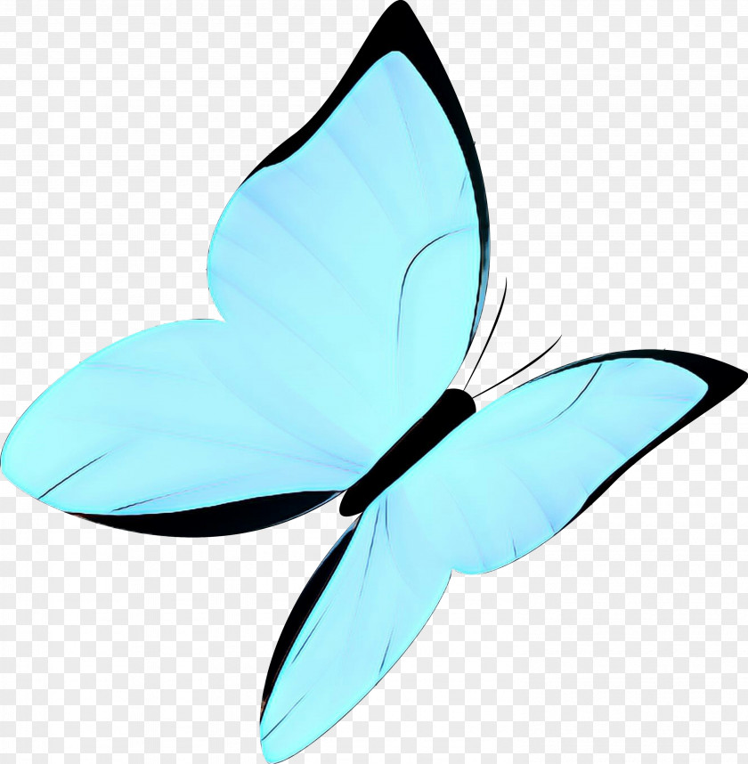 Moths And Butterflies Petal Aqua Turquoise Blue Clip Art Leaf PNG