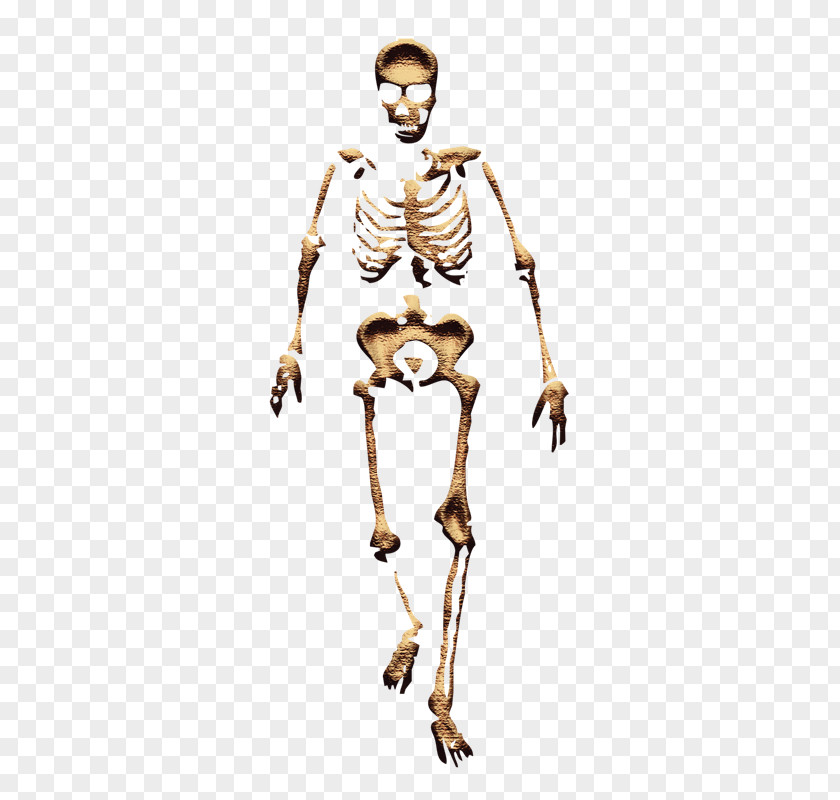 Terror TinyPic Homo Sapiens Video PNG