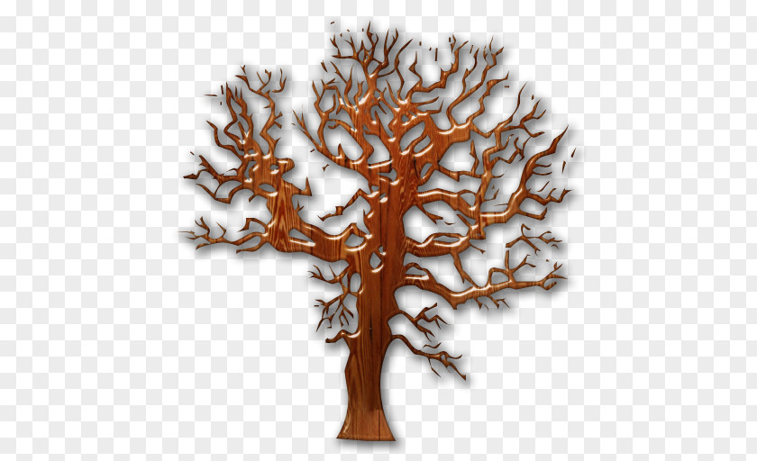 Tree House Wood Twig Evergreen PNG