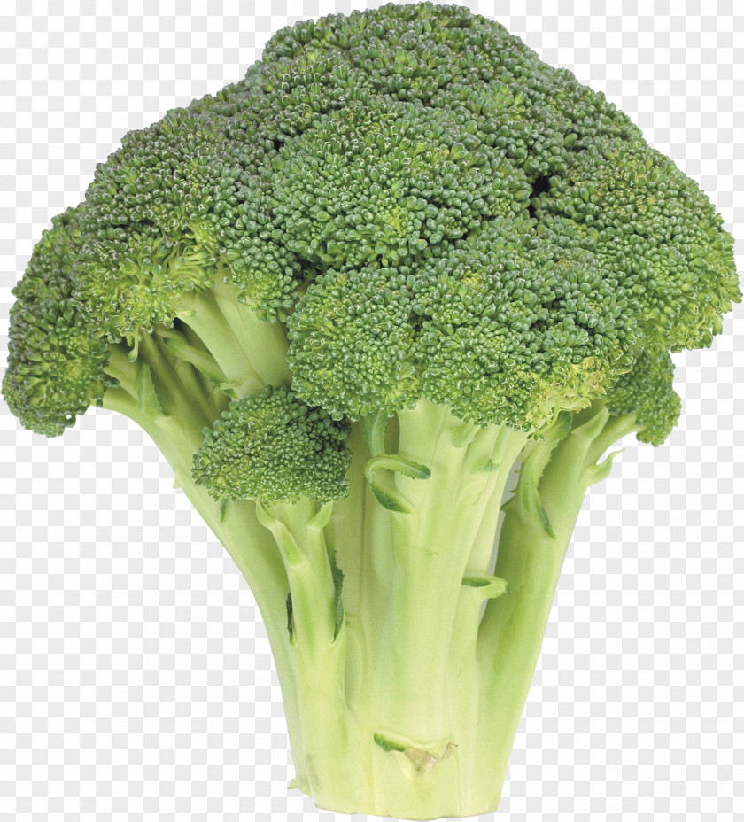 Broccoli Image Rapini Vegetable PNG