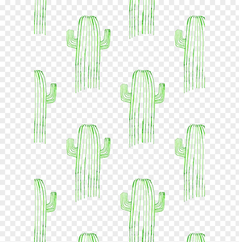 Cactus WGSN Idea Wallpaper PNG