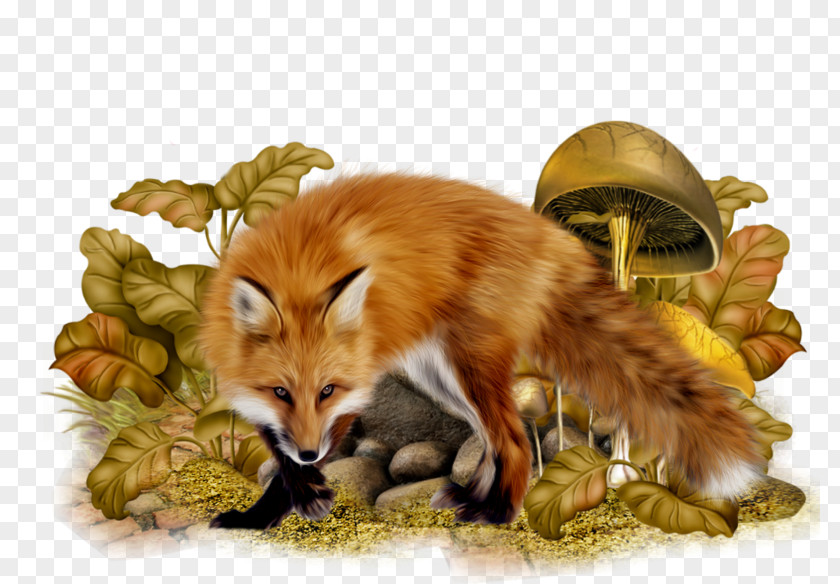 Dhole Fennec Fox Autumn Cartoon PNG