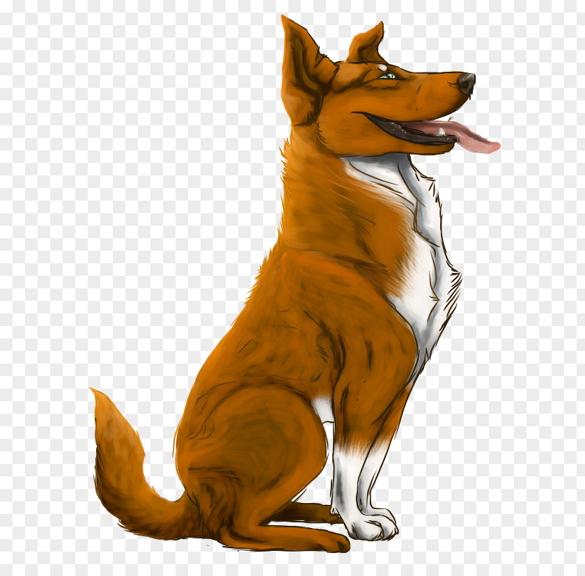 Dog Breed Red Fox Dhole Snout PNG