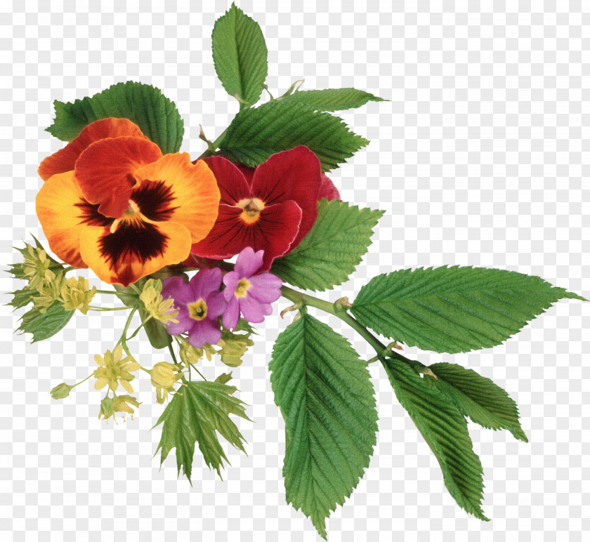 Flowers Element Floral Patterns,Exquisite Leaves Pansy Flower Bouquet Clip Art PNG