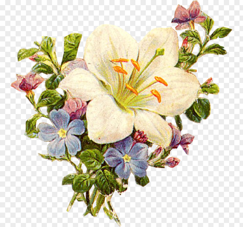 Flower Victorian Era Bouquet Edwardian Clip Art PNG