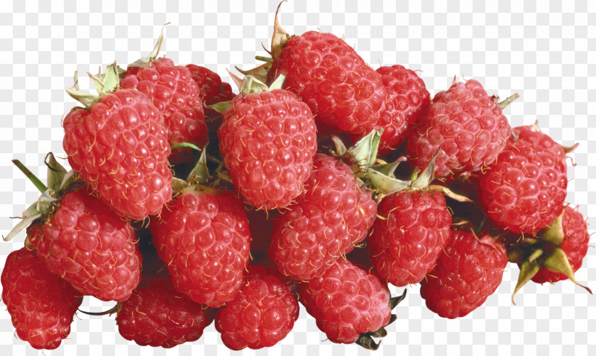 Raspberry Loganberry Berries Clip Art PNG