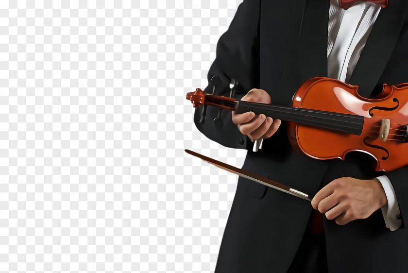 Violin Family Violinist String Instrument Musical Music PNG