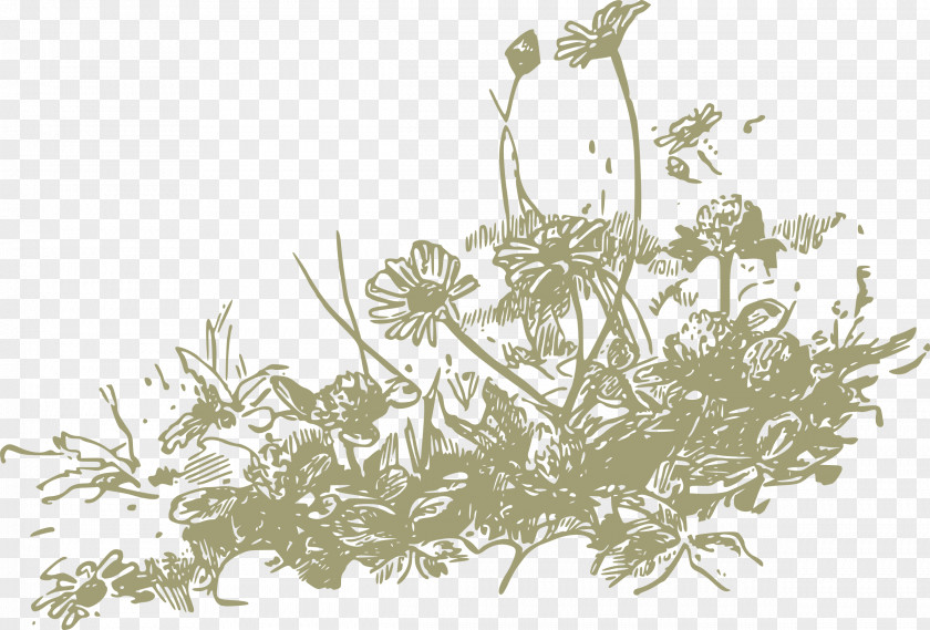 Wild Flowers Wildflower Clip Art PNG