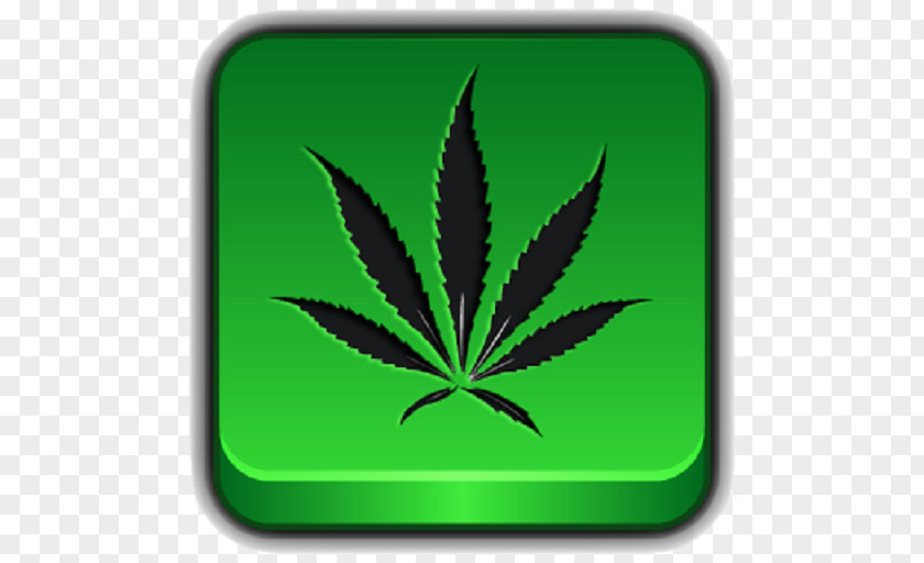 Cannabis 420 Day Clip Art PNG