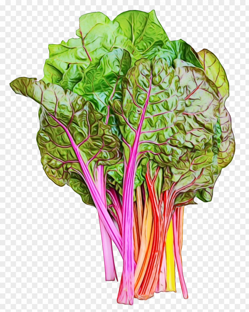 Flower Cruciferous Vegetables Chard Leaf Vegetable Beet Greens Rhubarb PNG