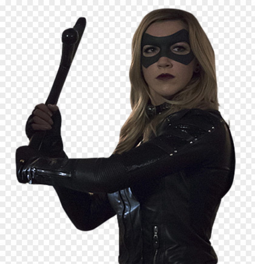 Hawkgirl Black Canary Diana Prince Amanda Waller Green Arrow El Diablo PNG