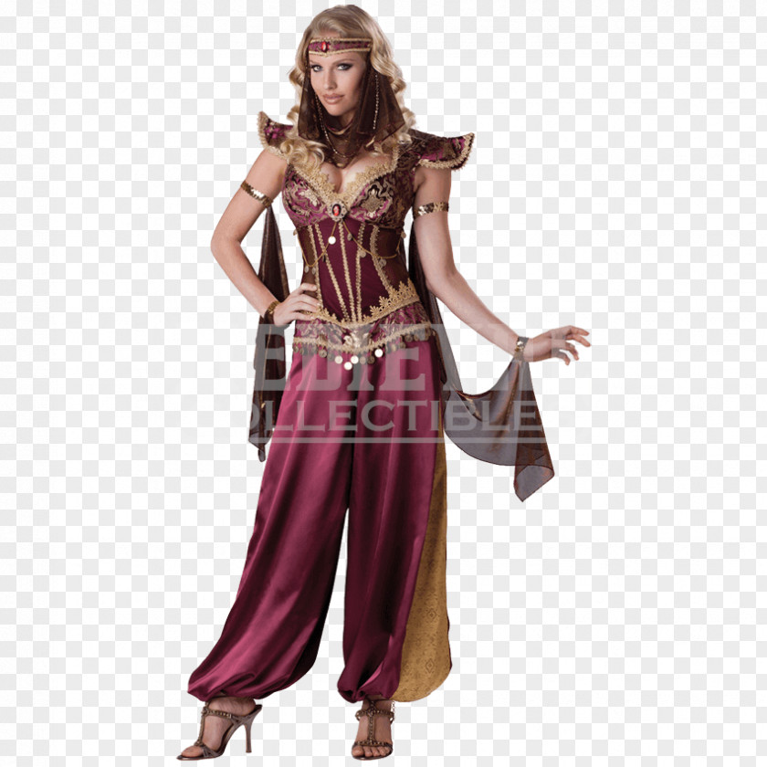 Medieval Female Clothing Halloween Costume Party Dress PNG