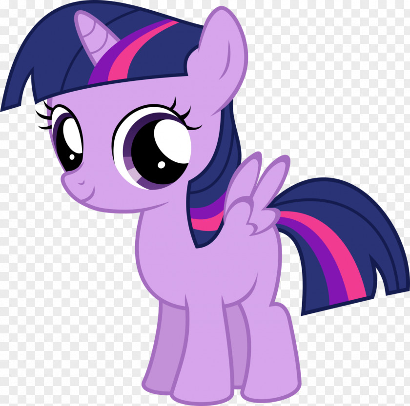 The Sleeping Unicorn Twilight Sparkle Pony Rainbow Dash Pinkie Pie Applejack PNG