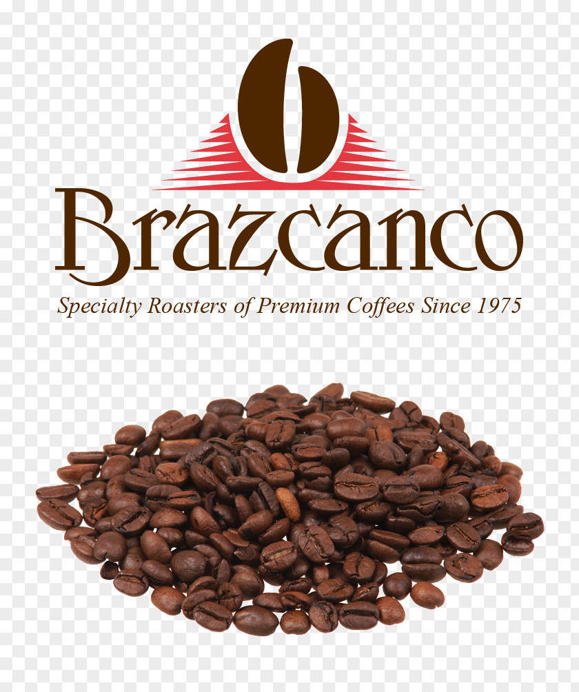 Brazilian Coffee Bean Cafe Instant Jamaican Blue Mountain PNG