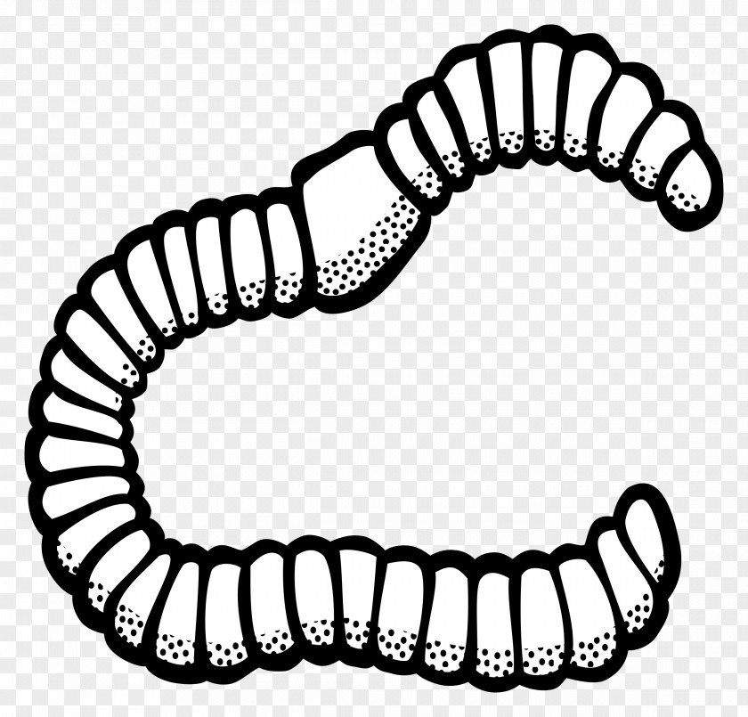 Earthworm Clip Art PNG