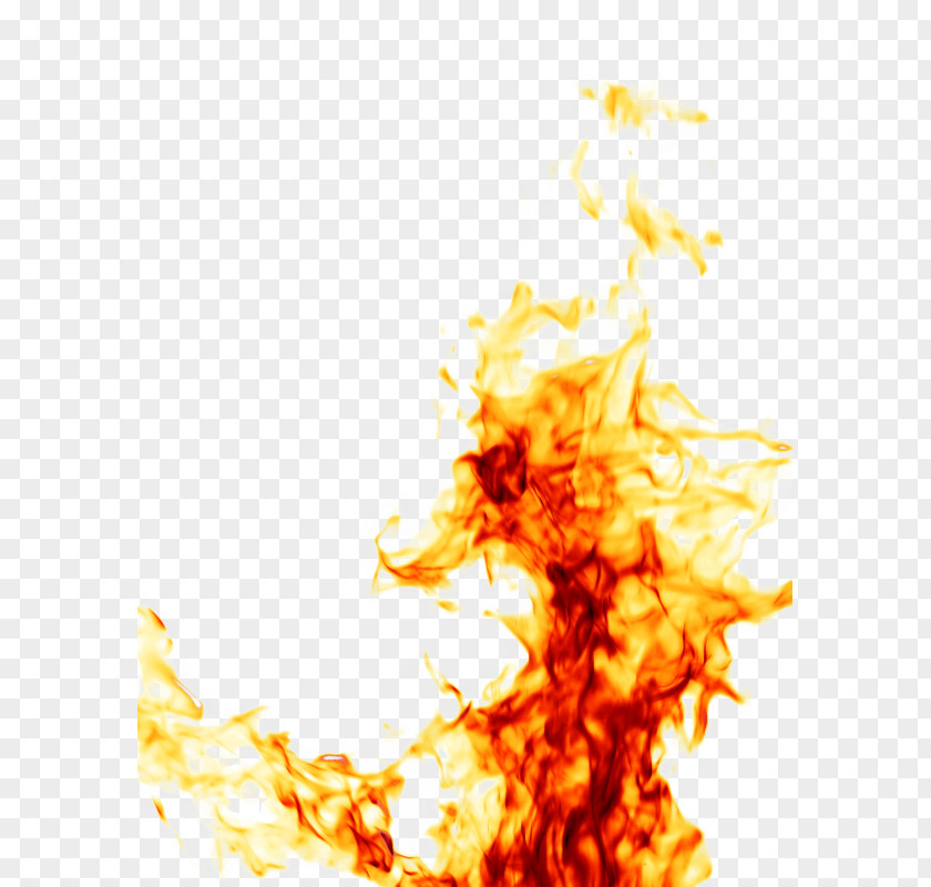 Fire Stock Photography Walking Through Flame PNG
